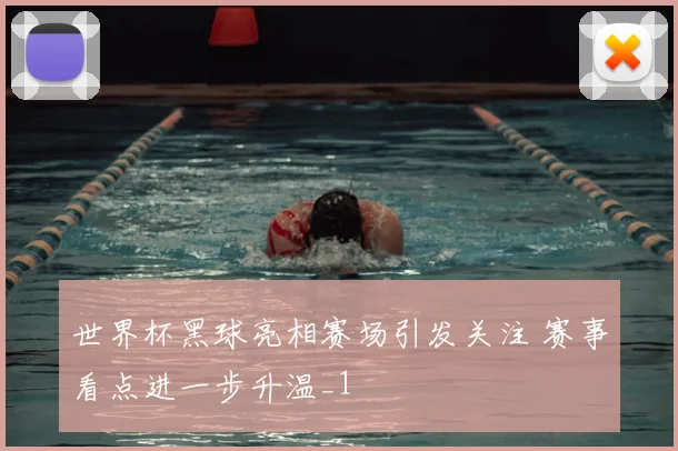 世界杯黑球亮相赛场引发关注 赛事看点进一步升温_1