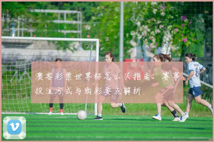澳客彩票世界杯怎么买指南:赛事投注方式与购彩要点解析